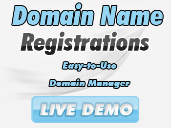 Economical domain name registration service providers